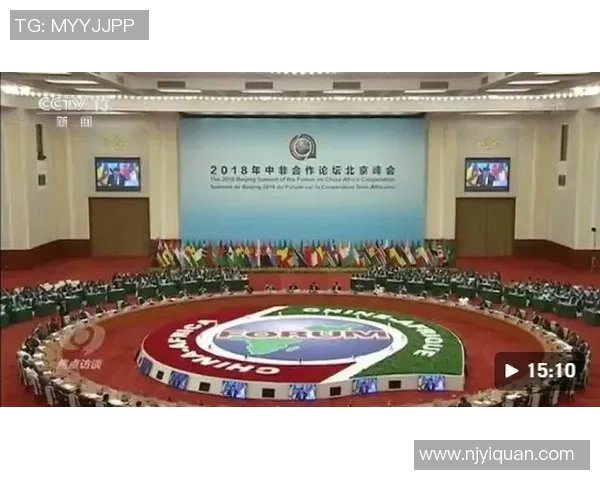 飞盘焦点：南京飞盘队的团队协作探讨